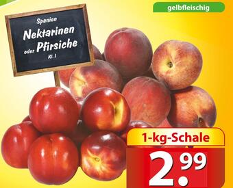 Famila Nord Ost Nektarinen oder pfirsiche Angebot