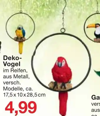 Jawoll Deko Vogel Angebot