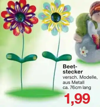 Jawoll Beetstecker Angebot