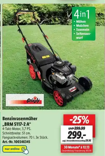 Lidl Grizzly Benzinrasenmäher Brm 5117-2 A Angebot