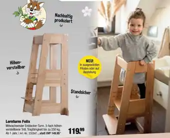 Rofu Kinderland Lernturm Felix Angebot