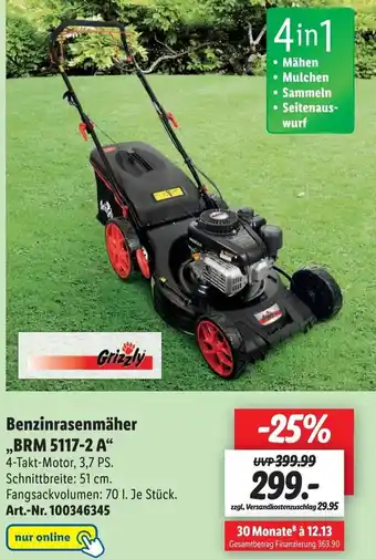 Lidl Grizzly Benzinrasenmäher ,,BRM 5117-2 A" Angebot