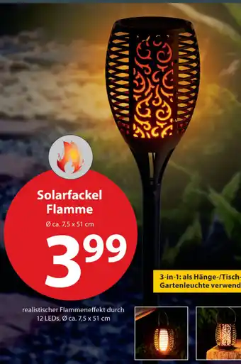 NKD Solarfackel Flamme Angebot