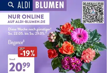 Aldi Nord Aldi Blumen Elegance Angebot