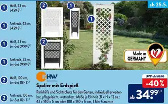 Aldi Nord Spalier mit Erdspieß Angebot