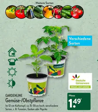 Aldi Nord Gardenline Gemüse/Obstpflanze Angebot