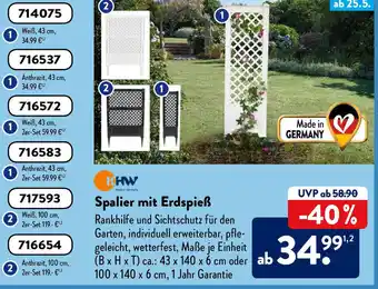 Aldi Süd Spalier mit Erdspieß Angebot