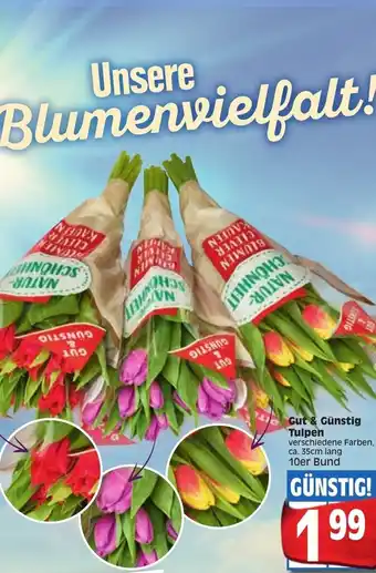 Edeka Gut & Günstig Tulpen Angebot