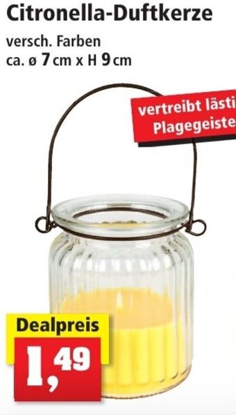 Thomas Philipps Citronella Duftkerze Angebot