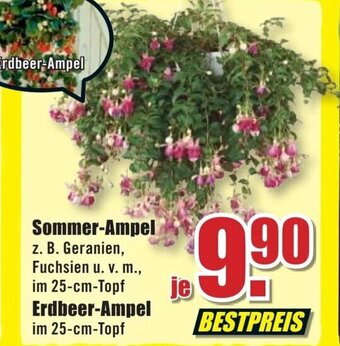 B1 Discount Baumarkt Sommer Ampel Angebot