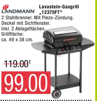 Landmann lavastein best sale