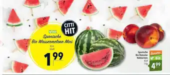 CITTI Markt Spanische Bio Wassermelone Mini Angebot