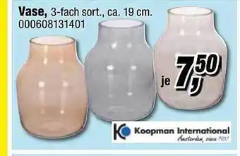 Opti Wohnwelt Koopman International Vase Angebot