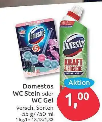 Budni Domestos Wc Stein Wc Gel Angebot