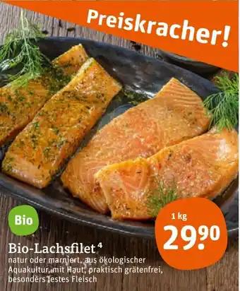 tegut Bio Lachsfilet 1 kg Angebot