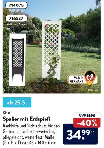 Aldi Süd KHW Spalier mit Erdspieß Angebot