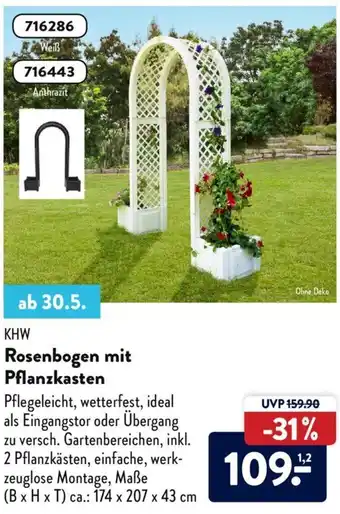 Aldi Süd KHW Rosenbogen mit Pflanzkasten Angebot