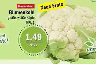 Aktiv Irma Blumenkohl Angebot