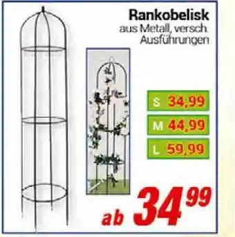 CENTERSHOP Rankobelisk Angebot