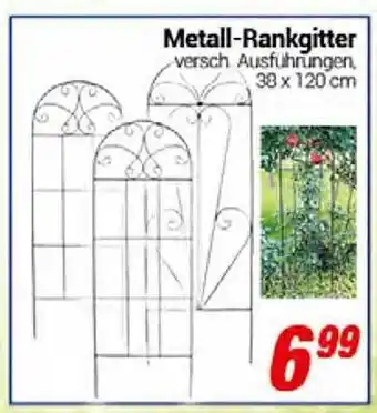 CENTERSHOP Metall Rankgitter Angebot