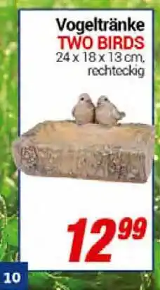 CENTERSHOP Vogeltränke Two Birds Angebot