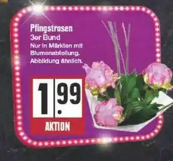 Edeka Pfingstrosen Angebot