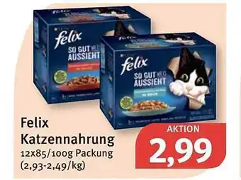 Feneberg Felix Katzennahrung Angebot