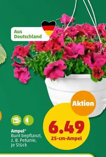 PENNY Ampel Angebot