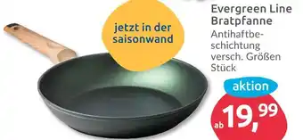 Budni Evergreen line bratpfanne Angebot