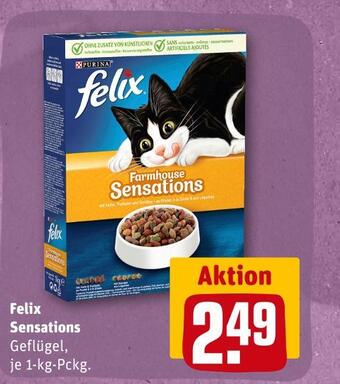 REWE Felix sensations katzennahrung Angebot