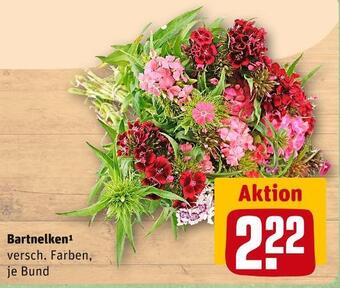 REWE Bartnelken Angebot