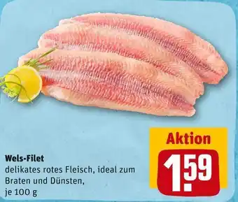 REWE Wels-filet Angebot