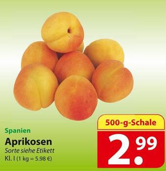 Famila Nord Ost Aprikosen Angebot