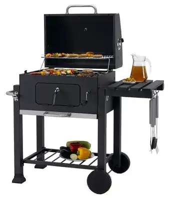 Globus Baumarkt Trendline trendline holzkohlegrill montreal Angebot