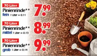 Wreesmann Pinienrinde 70 Liter Angebot