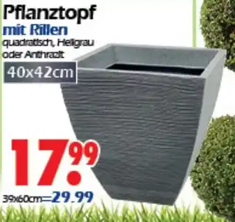 Wreesmann Pflanztopf mit Rillen 40x42 cm Angebot