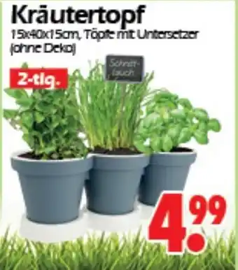 Wreesmann Kräutertopf Angebot