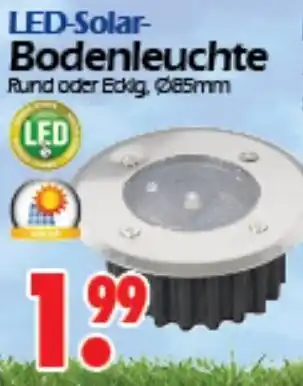 Wreesmann LED Solar Bodenleuchte Angebot