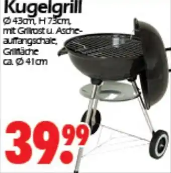 Wreesmann Kugelgrill Angebot