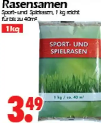 Wreesmann Rasensamen 1 kg Angebot