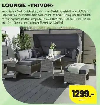 Leitermann Baumarkt Lounge ,,Trivor" Angebot