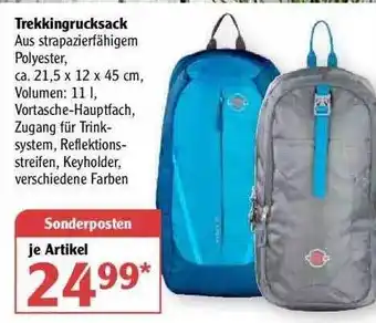 Globus Trekkingrucksack Angebot