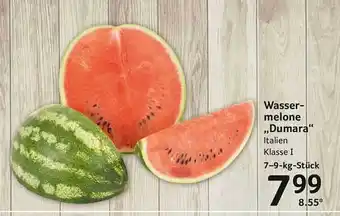 Selgros Wassermelone „dumara“ Angebot