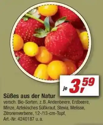 toom Baumarkt Süßes Aus Der Natur Angebot