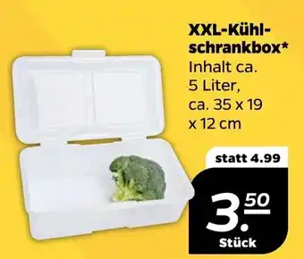 NETTO XXL- Kühlschrankbox 5 Litri ca. 35 x 19 x 12 cm Angebot