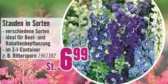 Hornbach Stauden in Sorten Angebot