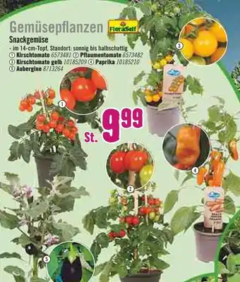 Hornbach FloraSelf Gemüsepflanzen Angebot