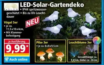 Norma LED Solar Gartendeko Angebot