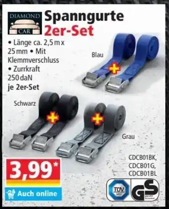 Norma Spanngurte 2er Set Angebot