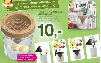 KODi Frubby Fruchtfliegen Lebendfalle Angebot